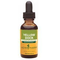 Yellow Dock