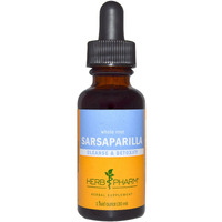 Sarsaparilla (Smilax)