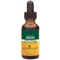 Reishi Mushroom
