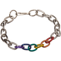 Gaysentials Rainbow and Silver Links Bracelet(D0102H5G04U.)