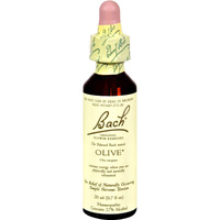 Bach Flower Olive