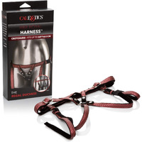 HER ROYAL HARNESS THE REGAL DUCHESS RED