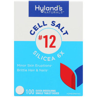 Hylands - Silicea 6x #12 cell Salts - 1 Each-100 Tab(D0102H546FJ)