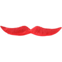 Hairy 'stache