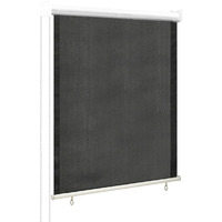 vidaXL Outdoor Roller Blind 23.6"x55.1" Anthracite