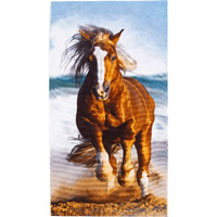 Running Horse Beach Towel 30 x 60(D0102H94c07)