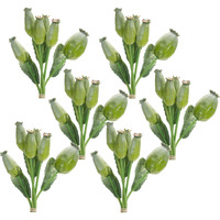 Poppy Pod Bundle (Set of 6)