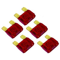 Xscorpion 100 Amp Fuses 5per Bag
