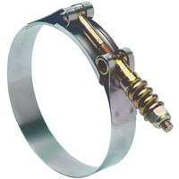 TBOLT SPRG HSECLMP SAE96(Pack of 1)