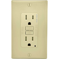 AFCI/GFCI OUTLET 15A IV (Pack of 1)