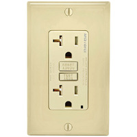 AFCI/GFCI OUTLET 20A IV (Pack of 1)