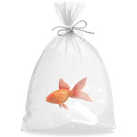 Aquarium Plastic Fish Bags 10 x 20 clear Polyethylene Bags Pack of 100 Plastic Bags For Fish 2 Ml Plastic Bags clear Food grade Plastic Bags 10x20 Fish Packing Proofing Bag(D0102H932FV)