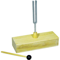 Delta Education Resonance Box with Tuning Fork - 320 Hz