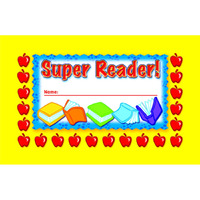 INCENTIVE PUNCH CARDS SUPER READER