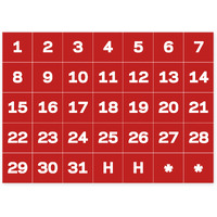 Calendar Dates Accessory Magnets, White on Red