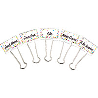 CONFETTI BINDER CLIPS LARGE MGMT