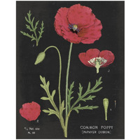 Poppy Chart -Paper Art-18"x22"