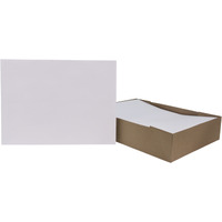 School Smart No Clasp Catalog Envelopes, 9 x 12 Inches, White, Pack of 100