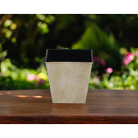 5" Cream Recycled Plastic Indoor Outdoor Rectangular Pot Planter