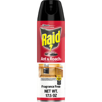 Raid Ant and Roach Killer Fragrance Free (17.5 Ounce (Pack of 1))