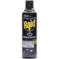 Raid Wasp Hornet Killer Spray (14 Ounce (Pack of 1)
