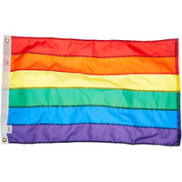 Gaysentials Rainbow 2 feet by 3 feet Flag(D0102H5G0KY.)