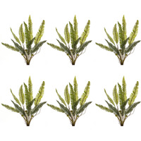 Fern Plant (Set of 6)