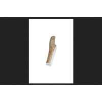 ANTLER STICK DOG CHW MED (Pack of 1)