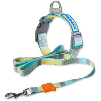 Touchdog  'Trendzy' 2-in-1 Matching Fashion Designer Printed Dog Leash and Collar(D0102HAX9X7.)