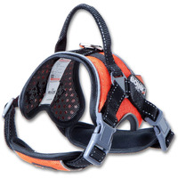 Dog Helios  'scorpion' Sporty High-Performance Free-Range Dog Harness(D0102HAXADU.)