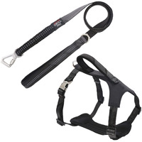 Pet Life  'Geo-prene' 2-in-1 Shock Absorbing Neoprene Padded Reflective Dog Leash and Harness(D0102HAXABG.)