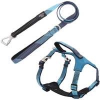 Pet Life  'Geo-prene' 2-in-1 Shock Absorbing Neoprene Padded Reflective Dog Leash and Harness(D0102HAXACA.)