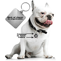 Chicago Bulls Pet Collar Charm