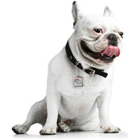 Denver Broncos Pet Collar Charm