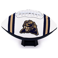 Pittsburgh Panthers Full Size Jersey Football CO