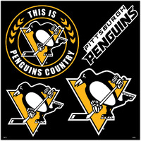 Pittsburgh Penguins Magnet Kit 4 Piece CO