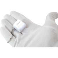 Delete Keyboard Keychain for Quality Within Reach and Illuminate Keys