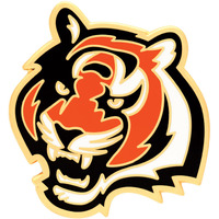Cincinnati Bengals Collector Pin Jewelry Card - Special Order