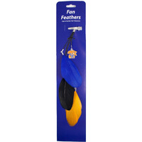 Kentucky Wildcats Team Color Feather Hair Clip CO