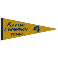 Notre Dame Fighting Irish Pennant 12x30 Premium Style PLACT Design Special Order