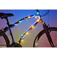 LIGHTS BIKE FRAME MULTI (Pack of 1)