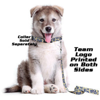 Iowa State Cyclones Pet Leash 1x60 - Special Order
