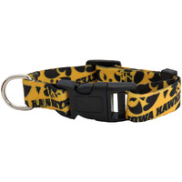 Iowa Hawkeyes Pet Collar Size S