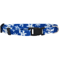 Kentucky Wildcats Pet Collar Size M - Special Order
