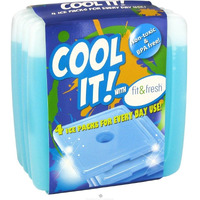 Slim Lunch 4-Set Cool Ice Packs Reusable Coolers Freezer Pad Camping Cold Block