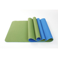 2 Tone TPE Premium Yoga Mat(D0102HA90B7)