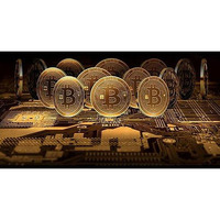 Bit coins The celebratory coins In crystal clear case(D0102HEY6IY)