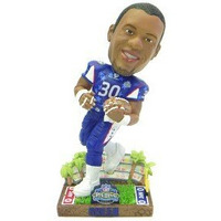 Green Bay Packers Ahman Green 2003 Pro Bowl Forever Collectibles Bobblehead CO
