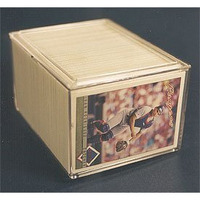 Pro Mold 250ct Plastic Box