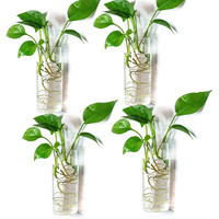 Kingbuy Wall Hanging Planter Plant Propagation Station Glass Wall Vase For Home Kitchen Windowsill Decor  Plant Lover Gifts  Clear Medium Cylinder  4 Pack